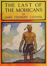 Cover of The Last of the Mohicans